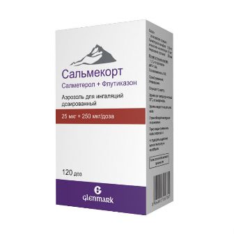 

Сальмекорт аэр. для инг. 25мкг+250мкг/доза 120доз