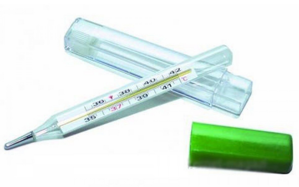 ДиДжиМ термометр медицинский ртутный в футляре ригла термометр медицинский ртутный в футляре 1