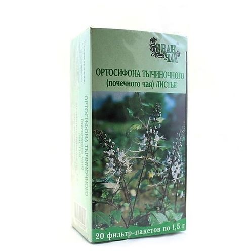 Ортосифон тычиночный (почечный чай) листья ф/п 1,5г №20