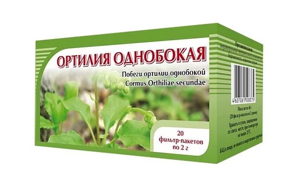 

Боровая матка (ортилия однобокая) побеги ф/п 2г №20
