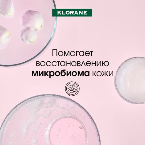 Клоран гель-кондиционер для волос экстракт Пиона 150мл №8