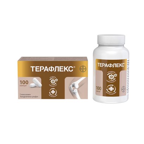 Терафлекс капсулы №100