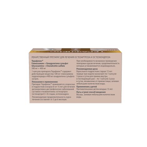 Терафлекс капсулы №100 №2