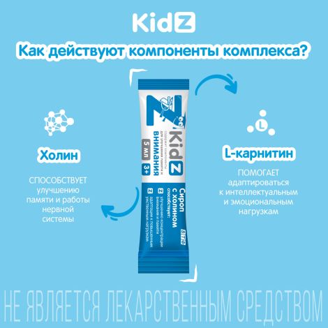 КИДЗ сироп с холином в стиках с 3-х лет №10