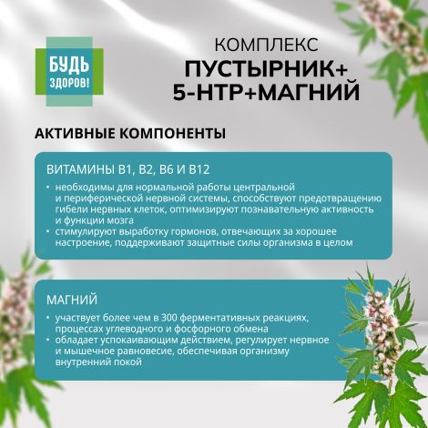Будь Здоров! Комплекс экстракта пустырника/ 5-HTP/магния и витаминов гр. В капс. №120 №4