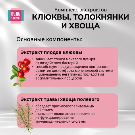 Будь Здоров! Комплекс экстрактов клюквы, толокнянки и хвоща саше №14 №4