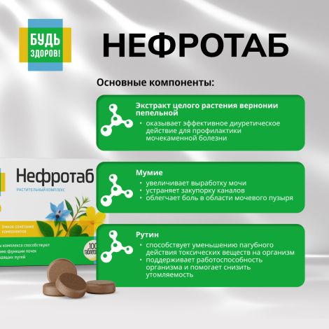 Будь Здоров! Нефротаб таблетки №100 №6