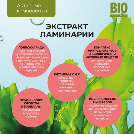 Биозон шампунь интенсивное восстановление поврежденных волос 500мл №2