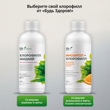 Будь Здоров! Грин Инозитол+Хлорофилл со вкусом апельсина и мяты 250мл №8