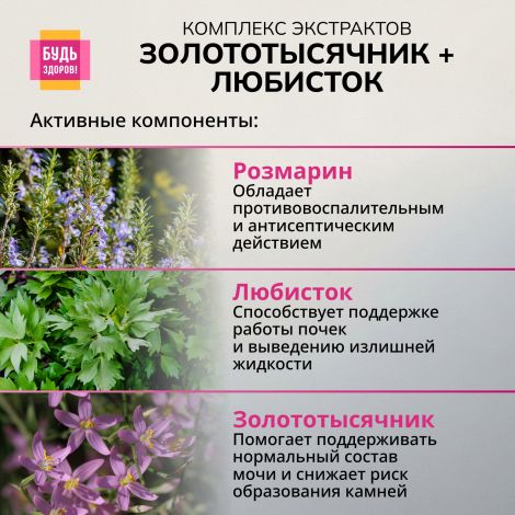 Будь Здоров! Комплекс экстрактов золототысячника/любистка/розмарина капсулы №60 №6