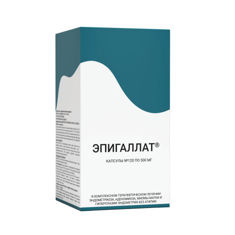 Эпигаллат Капс. 500мг №120 – Купить В Аптеке По Цене 1 939,00 Руб.