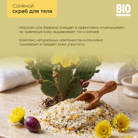 Биозон сухой соляной скраб для тела кактус 250г №4