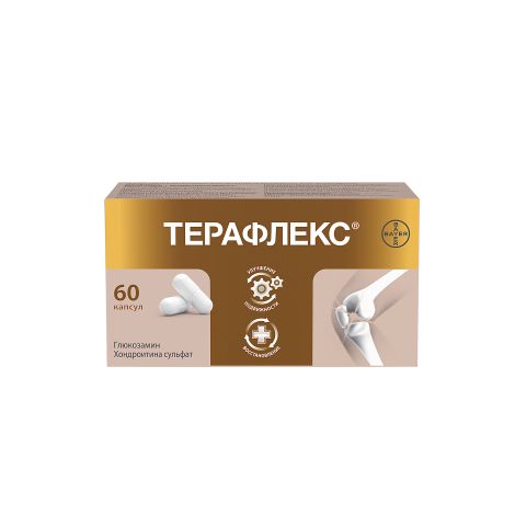 Терафлекс капсулы №60 №3