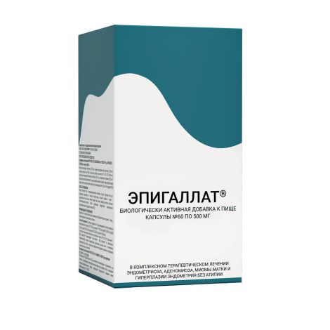 Эпигаллат Капс. 500мг №60 – Купить В Аптеке По Цене 1 229,00 Руб В.