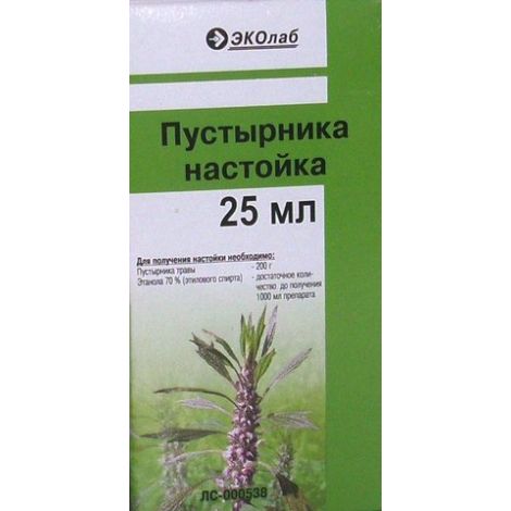 Пустырник — лечебные свойства, применение в народной медицине, противопоказания