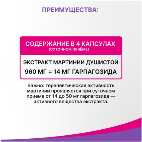 Эвалар ревмафлекс капс. 310мг №60 №4