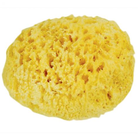 Беби конфорт губка натуральная для купания очень мягкая 0+ 3315