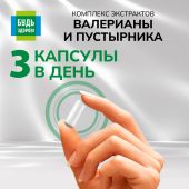 Будь Здоров! Комплекс экстрактов валериана/пустырник капсулы №90 №4