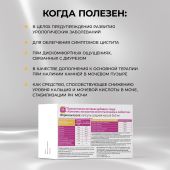 Будь Здоров! Комплекс экстрактов золототысячника и любистка капс. №60 №2