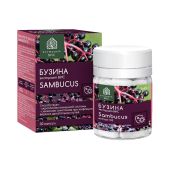 Бузина экстракт Вис капс. 0,45г №30