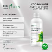 Будь Здоров! Грин Хлорофилл жидкий со вкусом малины и мяты 250мл