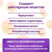 Вайруфлю порошок для раствора для приема внутрь 325мг+10мг+20мг+50мг с ароматом меда и лимона пак. 5г № 10 №3