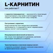 Смарт Пауэр L-карнитин капс. №80 №7