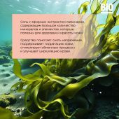 Биозон соль для ванн экстракт ламинарии 500г №5