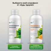 Будь Здоров! Грин Инозитол+Хлорофилл со вкусом апельсина и мяты 250мл №8