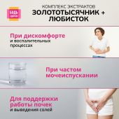 Будь Здоров! Комплекс экстрактов золототысячника/любистка/розмарина капсулы №60 №4
