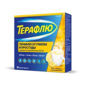 Терафлю от гриппа и простуды порошок для приготовления раствора №10 №2