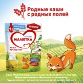 Малютка каша молочная кукуруза 220г №8
