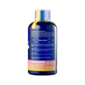 waterdent жидкость для ирригатора+ополаскиватель ежедневный уход утренний детокс 500мл №2