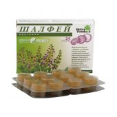 Шалфей паст. №24