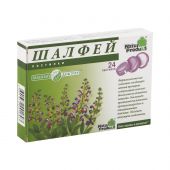 Шалфей паст. №24 №2