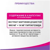 Эвалар ревмафлекс капс. 310мг №60 №4
