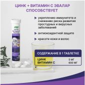 Цинк+Витамин С таб.шип. 5г №15 №4