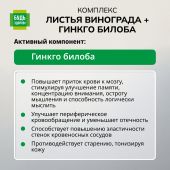 Будь Здоров! Комплекс экстрактов Красного винограда/Гинкго Билоба капсулы №30 №5