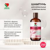 Добрый аптекарь шампунь для нормальных и жирных волос 250мл №2
