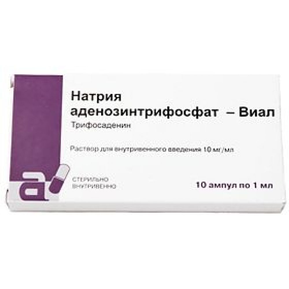 АТФ-Виал амп. 1% 1мл №10 – купить в аптеке по цене 477,00 руб в Москве. АТФ-Виал  амп. 1% 1мл №10: инструкция по применению, отзывы, код товара: 46197