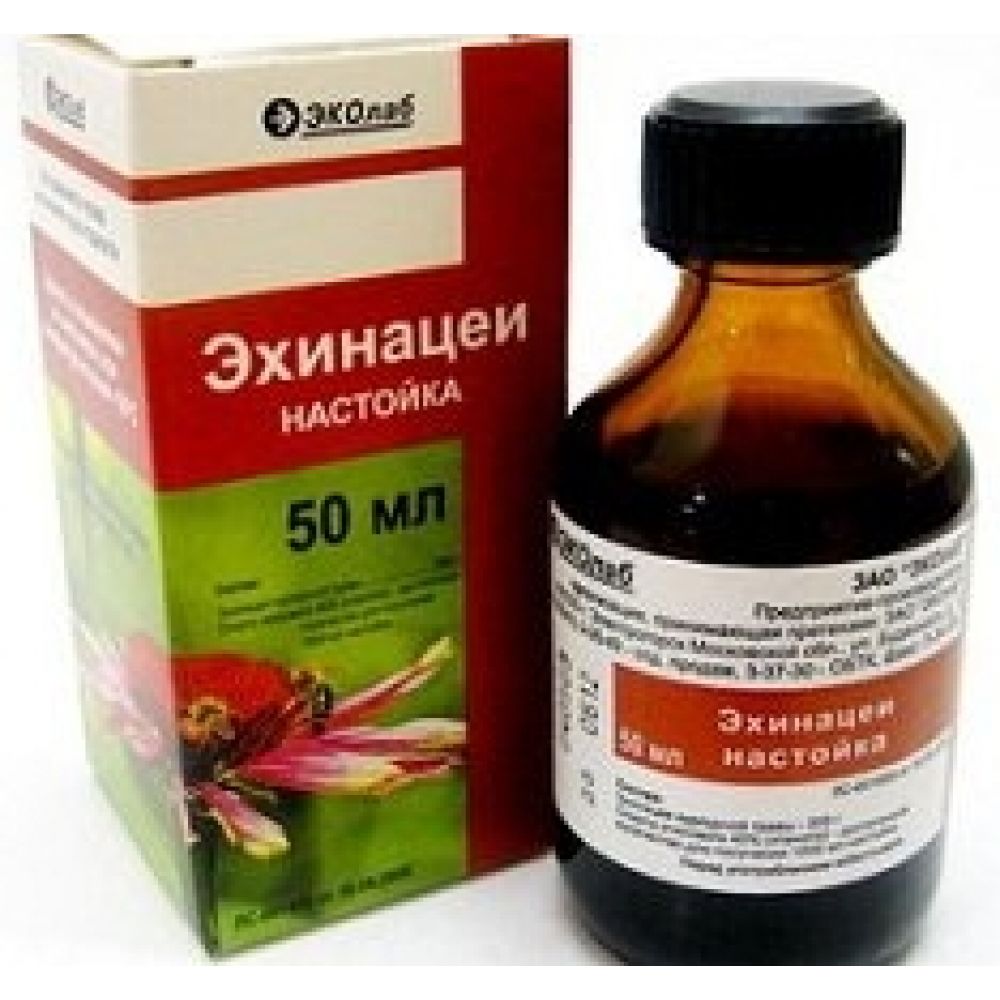 Эхинацея настойка 50мл – купить в аптеке по цене 127,00 руб в Москве. Эхинацея  настойка 50мл: инструкция по применению, отзывы, код товара: 58569