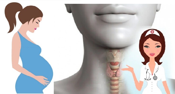 Гипотиреоз у беременных: какой вред может причинить плоду