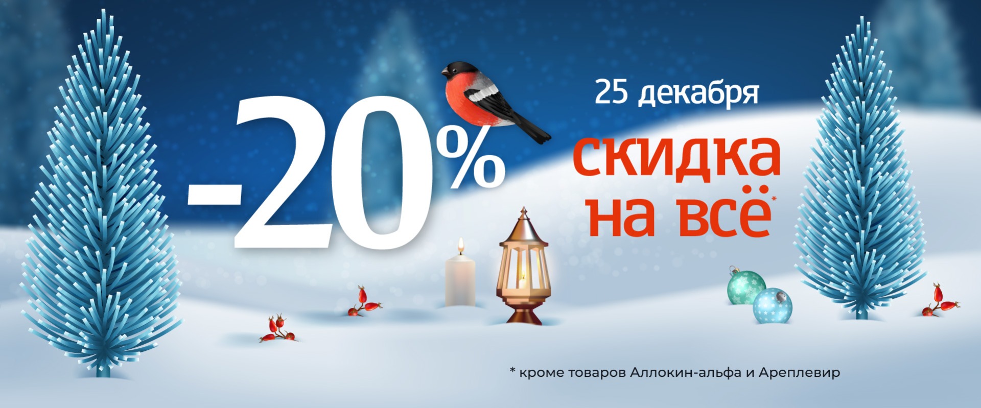 Всего 1 день 25 декабря скидка 20% на все товары*!